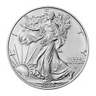 2024 American Silver Eagle $1 Coin 1 oz .