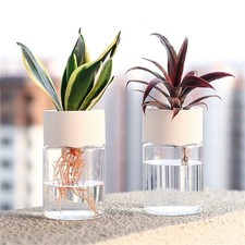 Mini Hydroponic Flower Pot Transparent Imitation Glass Soilless Plant Vase Decor