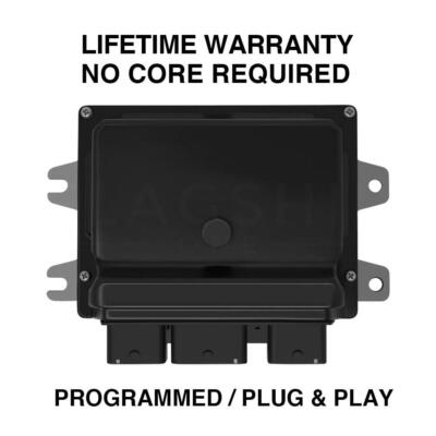 【新品未使用】2007PROFLEX 5.5☓☓ 2025年最新】2007proflexの人気アイテム - メルカリ