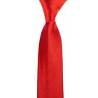 Mens Tie Plain Solid Colour Classic Slim and Wide Ties - Select Size and Colours