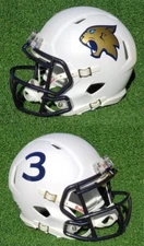 THIEL COLLEGE TOMCATS FOOTBALL MINI HELMET