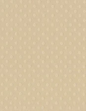 Bazzill Dotted Swiss Cardstock 8.5"X11"-Sandbox - 25 Pack