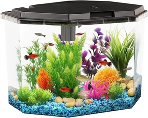 6.5-Gallon Aquarium Kit W/ Filtre d'alimentation & LED Éclairage AP650)