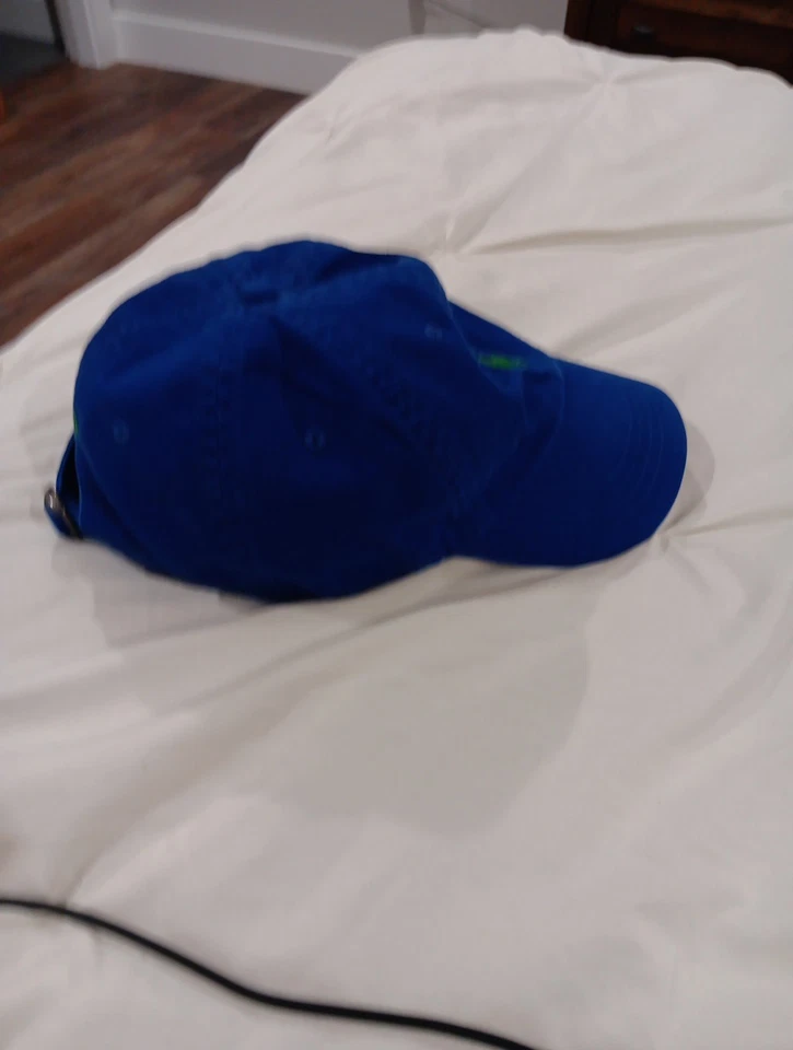 Polo Ralph Lauren Clásico Azul Con Verde Pomy Gorra Ajustable Foto 4 de 4