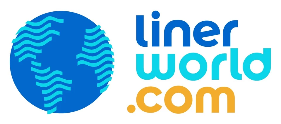 Revestimiento de piscina superpuesto para piscinas sobre el suelo - todos los tamaños redondo y ovalado vidrio brillante Foto 4 de 4