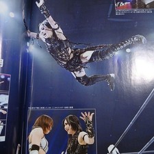 Weekly Pro Wrestling Issue 2393 Hiroshi Tanahashi Retirement Commemoration Saya