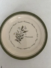1- Corelle Thymeless Herbs 8½" Luncheon  Salad Plate Chamomile