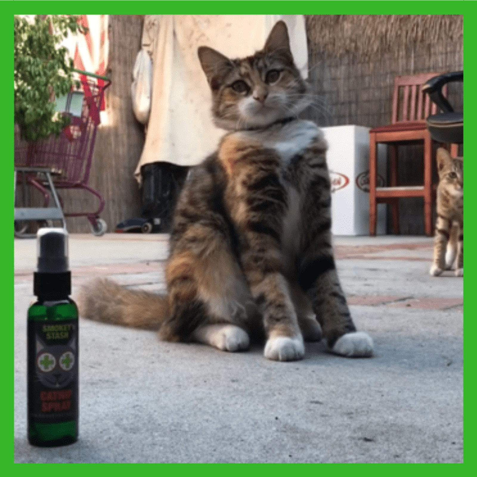 Smokey's Stash Catnip Spray Bottle, 2 oz.