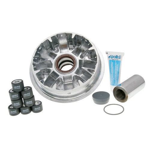 Rouleaux Variateur POLINI P242291 12,5g Pour Gilera 180 Runner FXR DD (1997-2003)