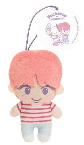 SPECIALぬいぐるみ賞-9 PARK JEONG WOO NCT X Sanrio Official JUNGWOO Mascot Plush Doll Toy Japan Import