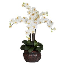 Phalaenopsis W/Decorative Vase Silk Flower Arrangement Cream 31"