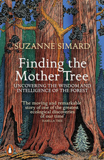 Finding the Mother Tree: Uncovering the Wisdom and Intelligence of the Forest