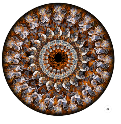 2026 Megadeth Zoetrope 2LP - 2x12