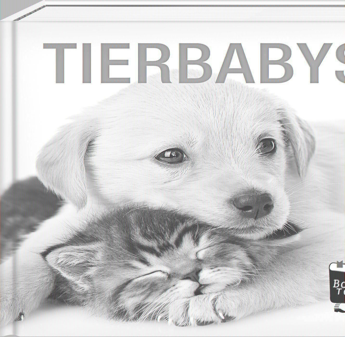 Steffen Verlag Tierbabys - Book To Go - Bild 3