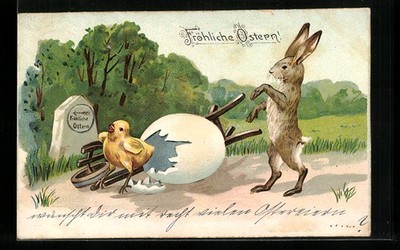 Ansichtskarte Osterhase und aus Ei schlüpfendes Küken, Ostergruß 1904 