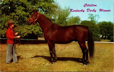 #ad Vintage Postcard Citation Kentucky Derby Winner Lexington KY Unposted $5.95