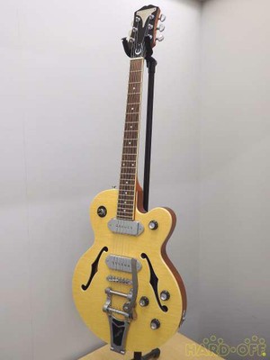 epiphone wildkat case