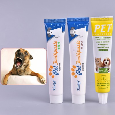 dog teeth cleaning supplies