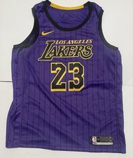 LeBron James 23 Lakers Purple Jersey XL Clean Condition w/bonus shirt L