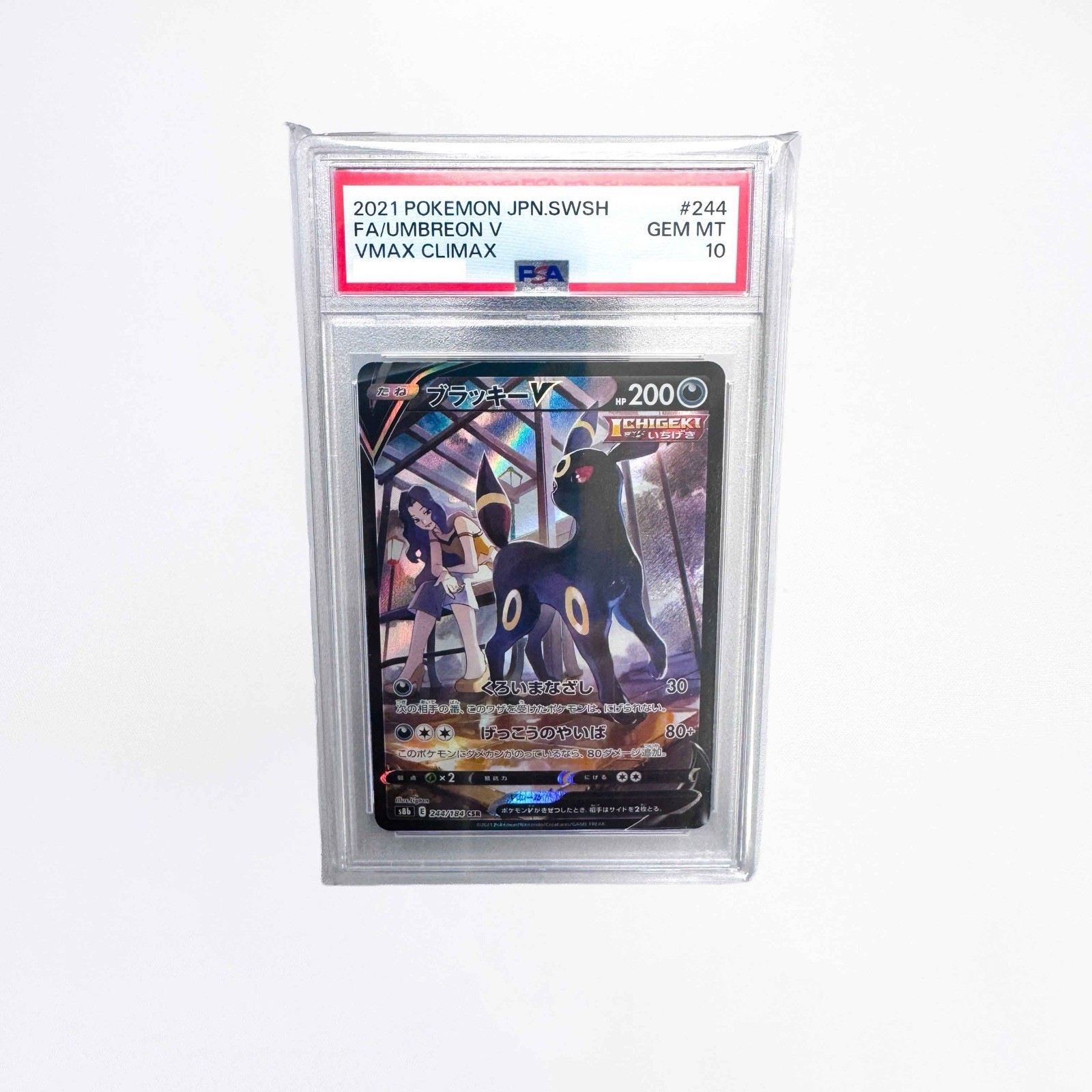 Pokemon Mystery Slab PSA 10 Japanese Graded Card AR Min SAR Possible view 7