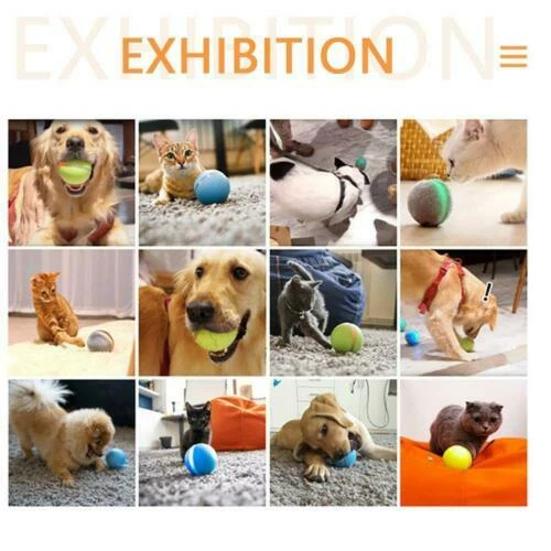 Interactive Ball Cat Toys