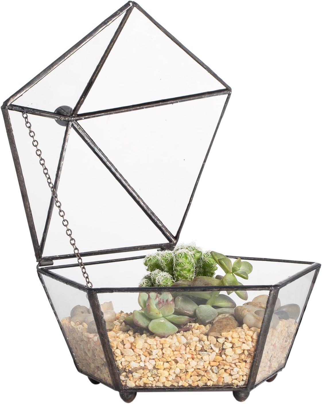 Small Glass Geometric Terrarium with Jewel-Boxed Design for Plants
