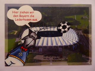 Stadionpostkarte AOL Arena Hamburg Hamburger SV Nr. Hbg 1516