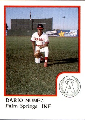 1986 Palm Springs Angels ProCards #24 Dario Nunez Dominican Republic DR Card