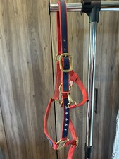 horse halter