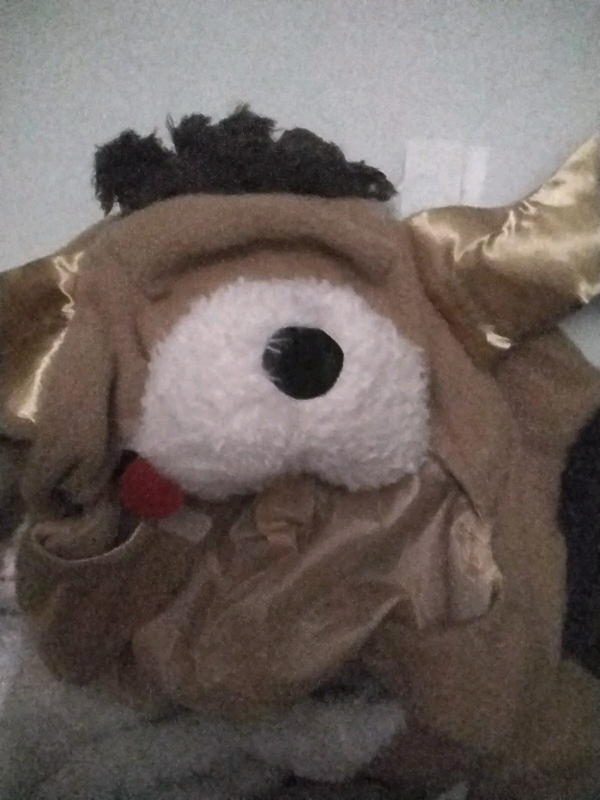 Picture 8 of 12