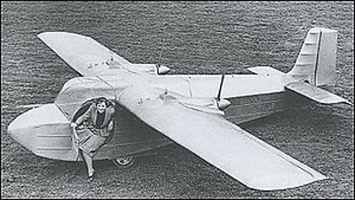 Carden-Baynes Bee Two-Seat Touring Aircraft Wood Model Small New