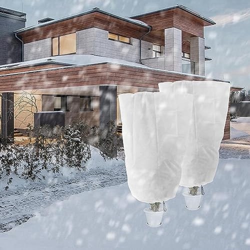 Protection Contre Le Gel Jardin Virylon Housse Hivernale Plantes