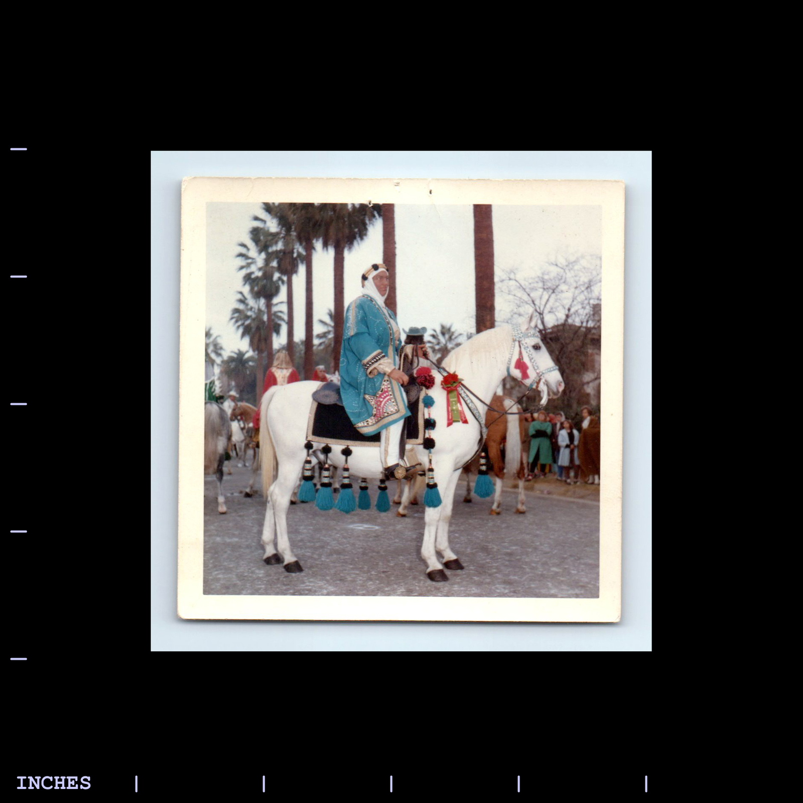 Square Color Photo LOS ANGELES 1963 HORSE AND RIDER KEFFIYEH