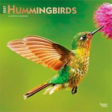 Hummingbirds | 2027 12x24 (Hanging) Monthly S...