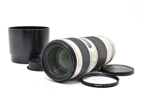 [Top MINT] Canon EF 70-200mm f/4 L USM Telephoto Zoom AF Lens EF EOS From JAPAN