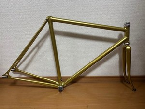 Panasonic Track Bike | eBay