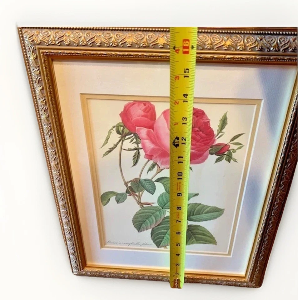 Rose Botanical VTG Framed Print Pair Set Gold Ornate Pink Green Cottage Regency - Image 2 of 4