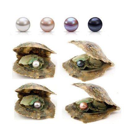 50PC Akoya Oysters with Pearls Inside Wholesale Round Pearl Saltwater Akoya O