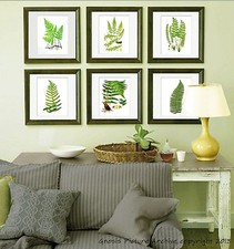 Fougère Motifs Set 6 sans Cadre Vert Antique Botanique Victorien Art Mural Décor