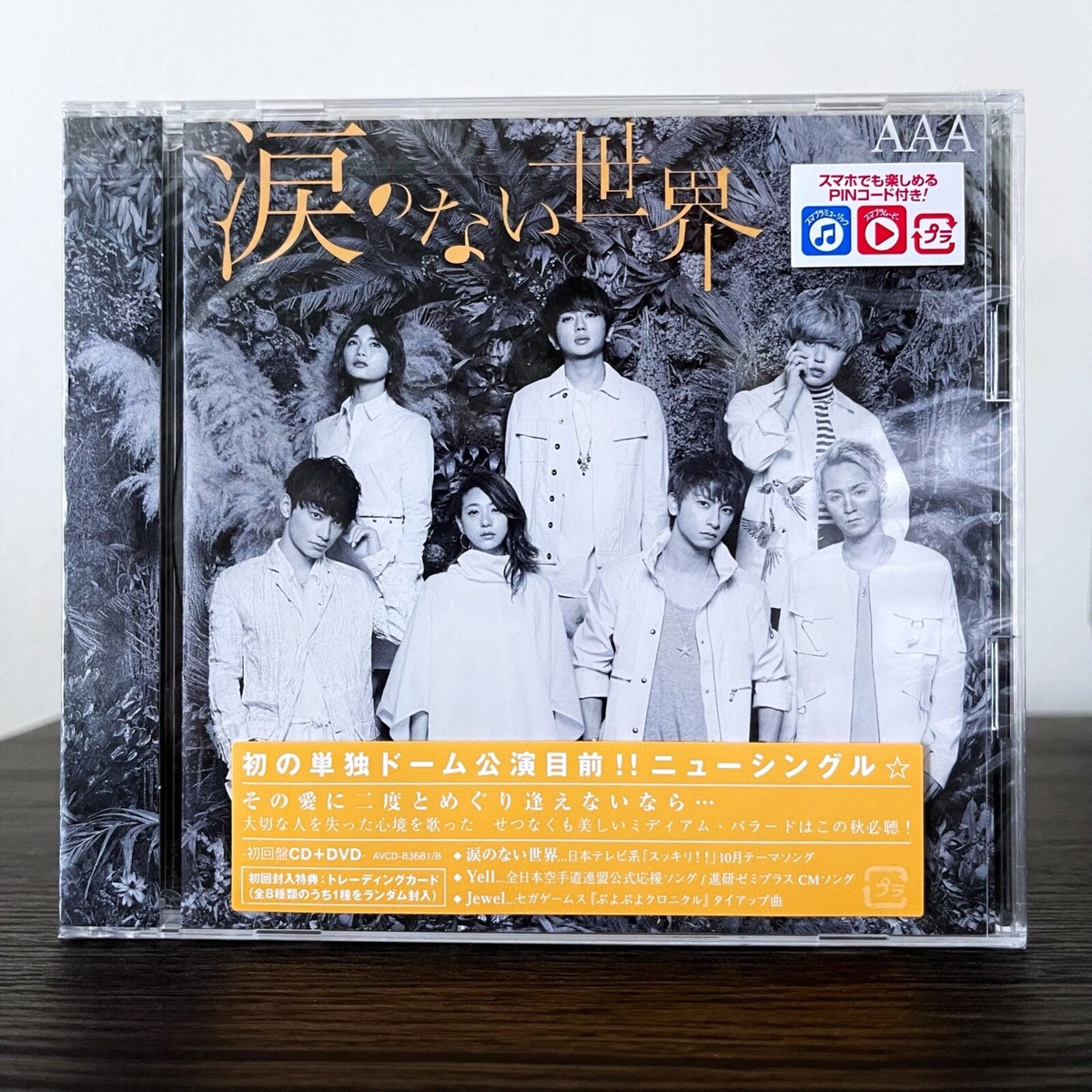 AAA/AAA 10th ANNIVERSARY Documentary～Ro… AAA 10th