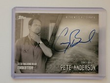 2017 Topps Walking Dead Evolution Trading Cards 14