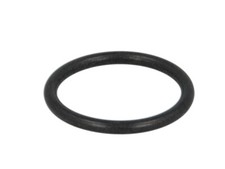 Fits EURORICAMBI 95532572 Shaft Seal, manual transmission flange DE stock