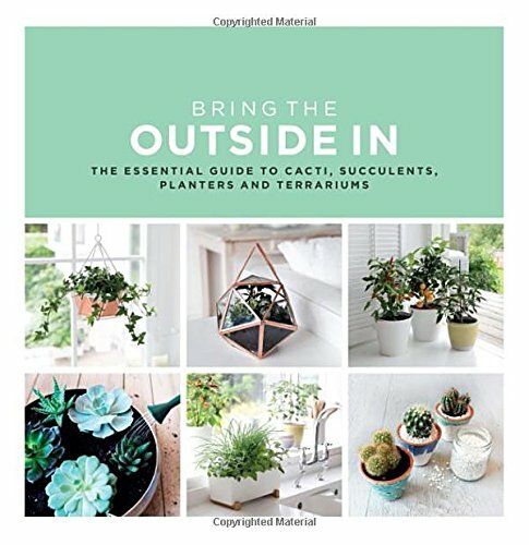 Bring The Outside In: The Essential Guide to Cacti, Succulents, Planters and .