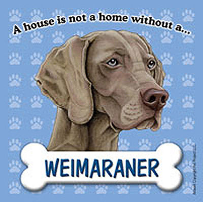 Weimaraner Magnet - House Is Not A Home