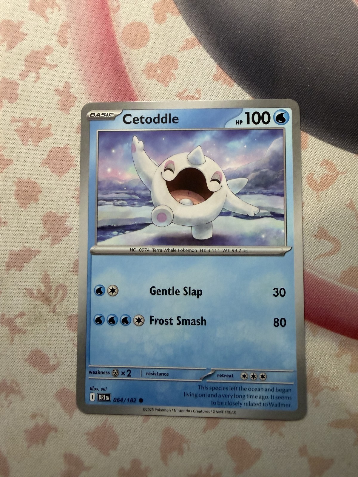 Cetoddle Common SV10: Destined Rivals 064/182 NM