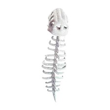 Costume de squelette de