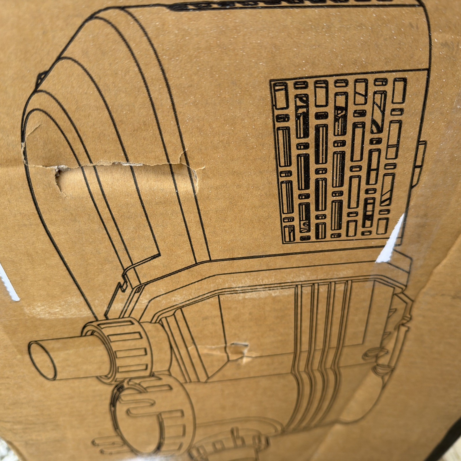 variable speed pool pump