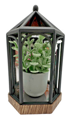 Bath & Body Works Plant Succulent Terrarium Wallflower Plug In *NO LIGHT UP