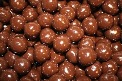 Bayside Candy Dark Chocolate Collection Dark Chocolate Covered Hazelnuts Filbert