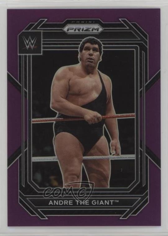 2023 Panini Prizm WWE Purple Prizm 119/149 Andre the Giant #159 0f4i